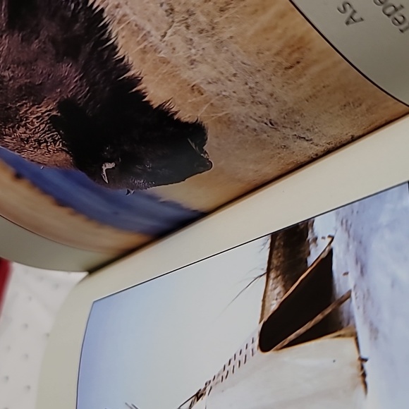 From Caves to Castles Educational Reader Booklet Edition - Picture 3 of 5